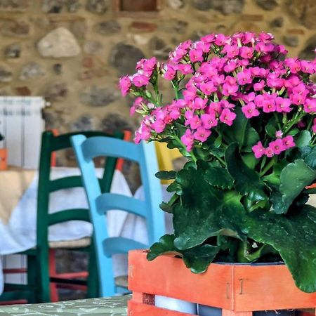 La Quinta Decima Bioagriturismo Fattoria Spedaletto المظهر الخارجي الصورة