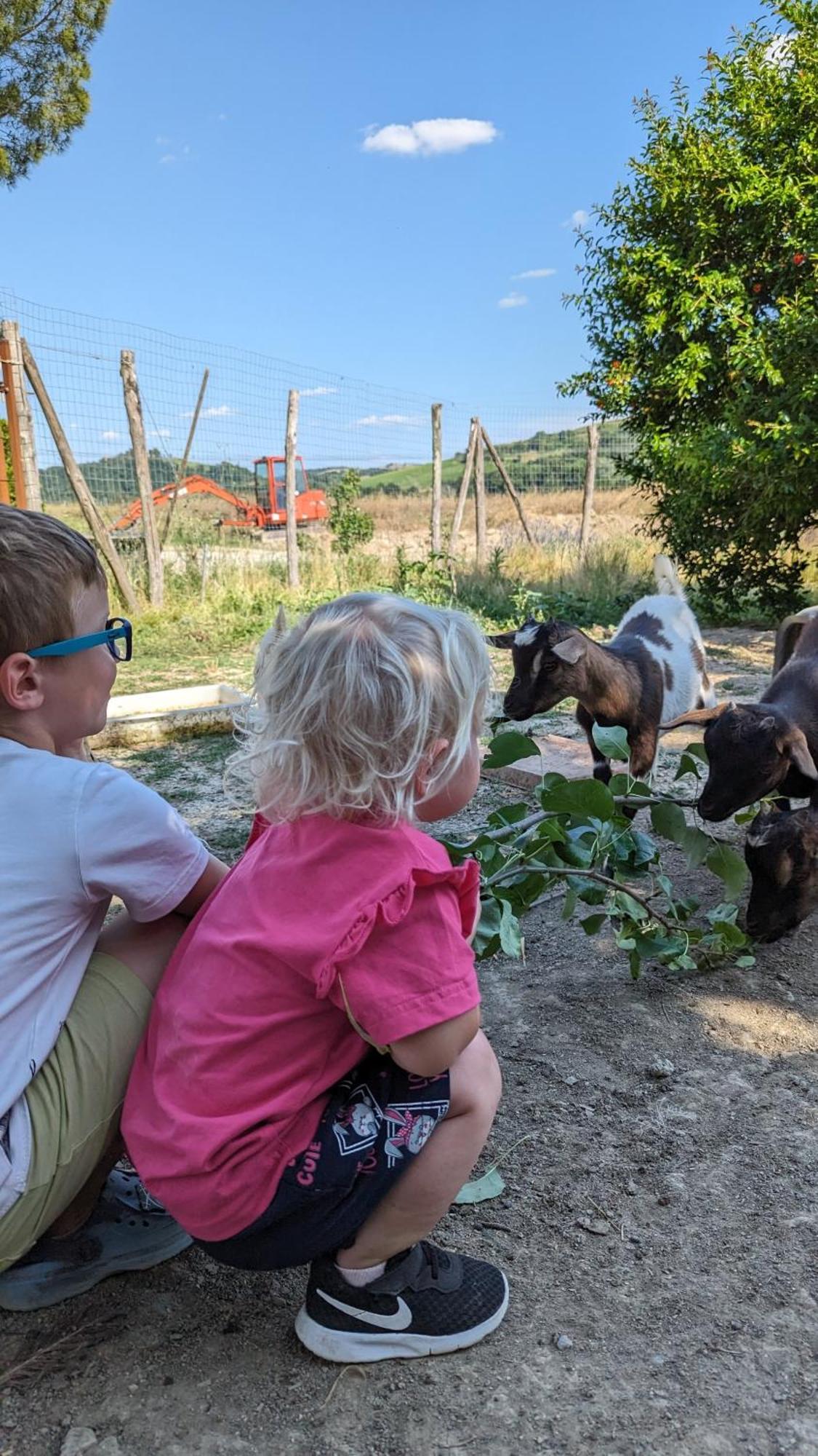 La Quinta Decima Bioagriturismo Fattoria Spedaletto المظهر الخارجي الصورة