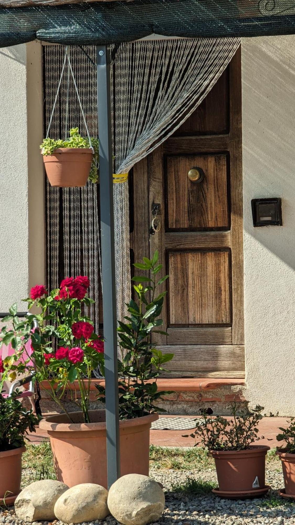 La Quinta Decima Bioagriturismo Fattoria Spedaletto المظهر الخارجي الصورة