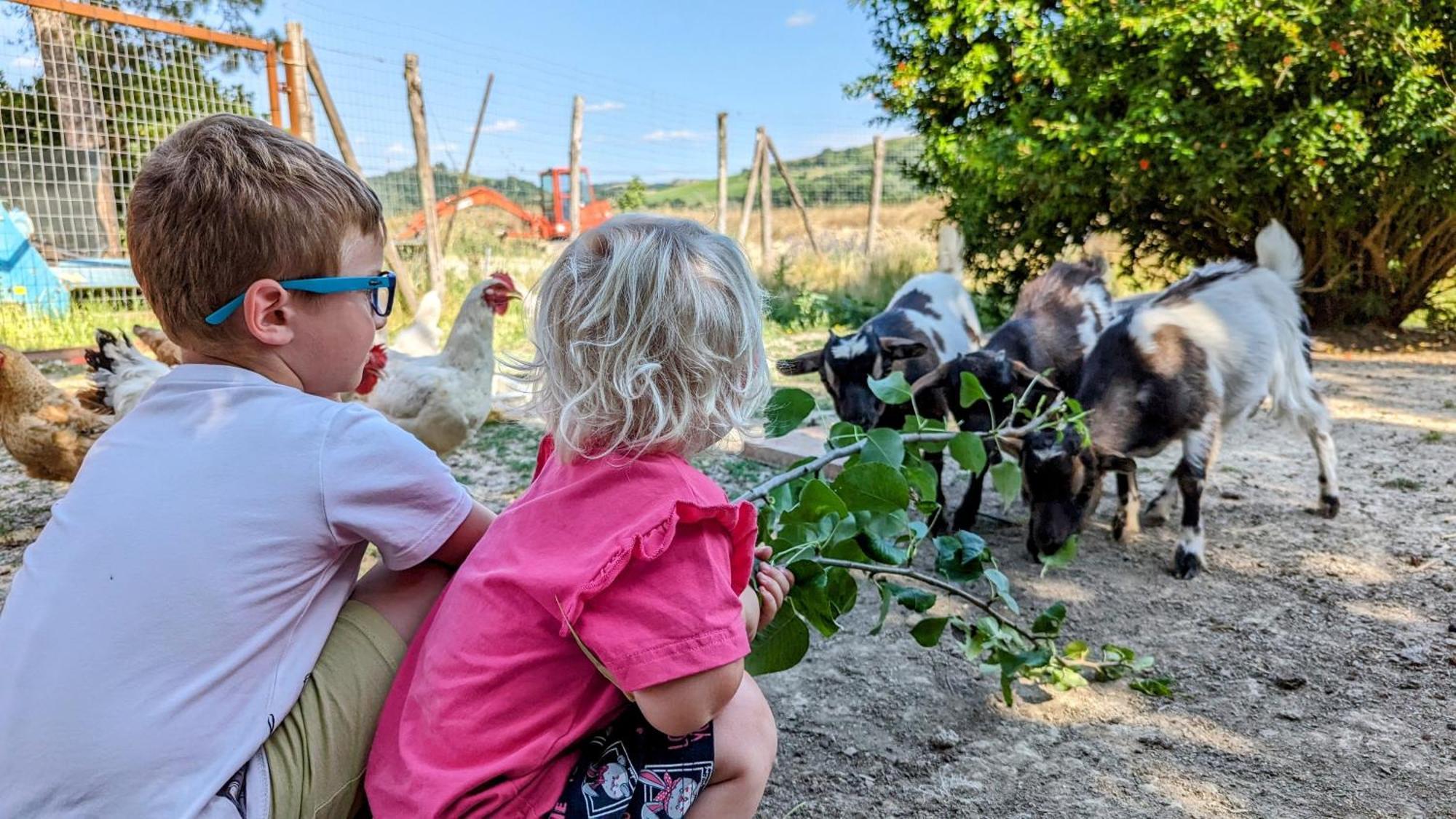 La Quinta Decima Bioagriturismo Fattoria Spedaletto المظهر الخارجي الصورة